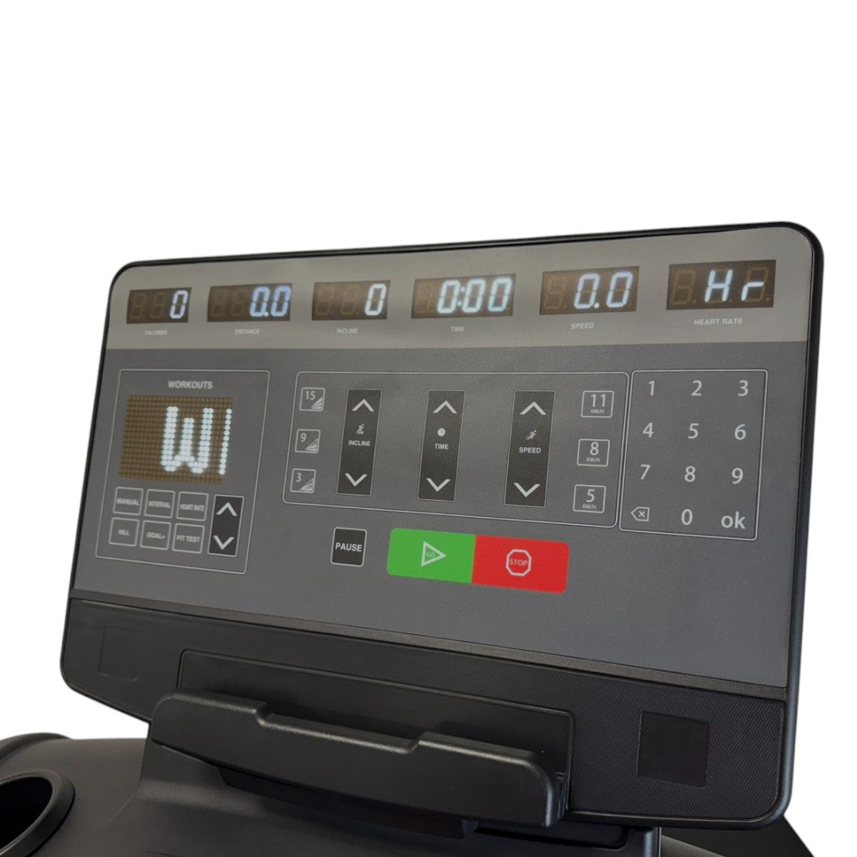 Esteira Elétrica Profissional Arzur Fitness - Rope Store #