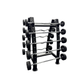 Kit Barra Montada Proline 10, 15, 20, 25 e 30kg Com Suporte