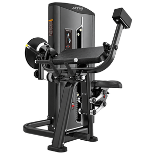 Biceps e Triceps - Elite Gym