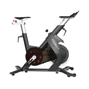 Spinning Bike Phoenix S210